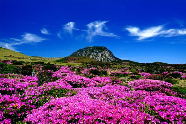 On Korea